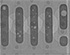 Assembly Process Optimization of  0201 BTC Diodes for High Temperature