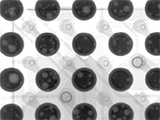 The Effect of Thermal Cycling Dwell Time on Reliability of Pb-free Solder Alloys