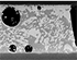 Kinetics of a Layer of Bismuth at the Anode of a Sn-Bi Based Solder Joint