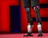 Muscle-Powered Robotic Leg More Efficient than Conventional Ones